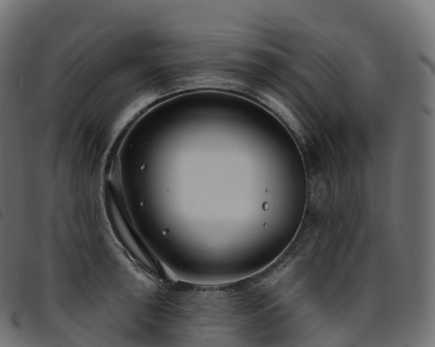 X0000094921043200711291308
