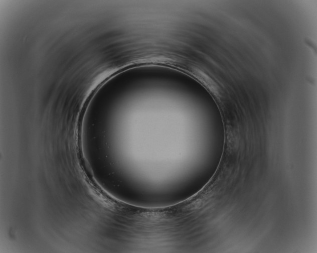 X0000094921044200711291308