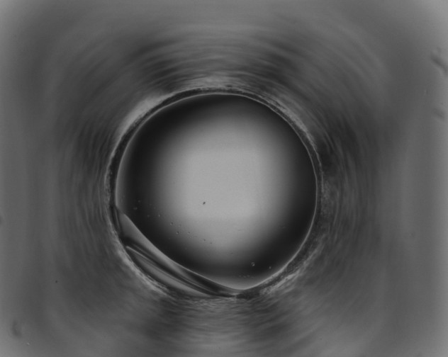 X0000094921045200711291308
