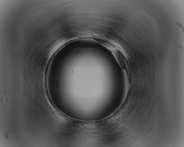 X0000094921047200711291308