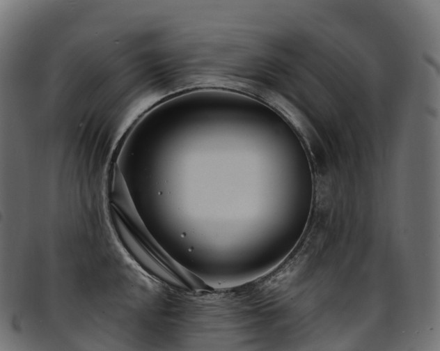X0000094921048200711291308