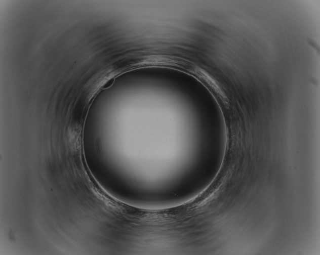 X0000094921049200711291308