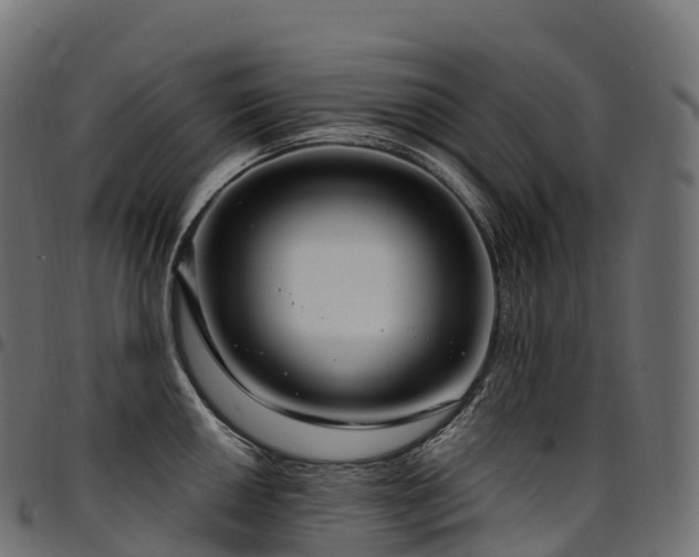 X0000094921050200711291308