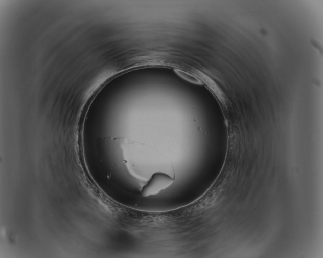 X0000094921051200711291308