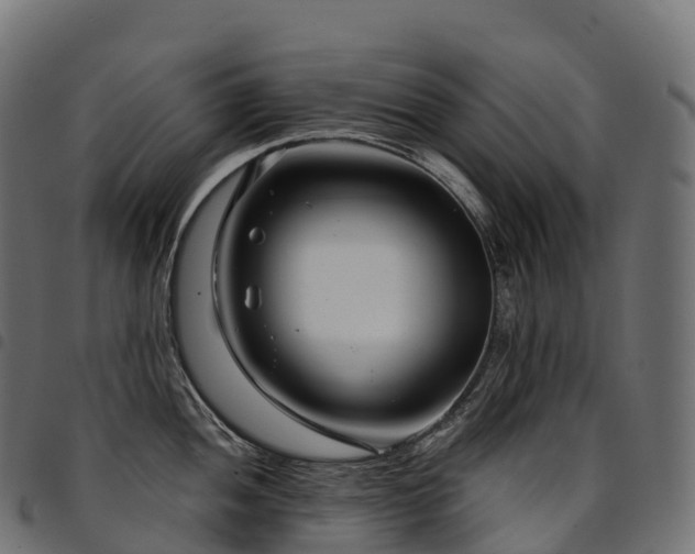X0000094921052200711291308