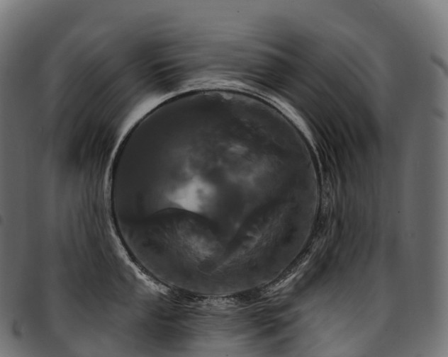 X0000094921053200711291308