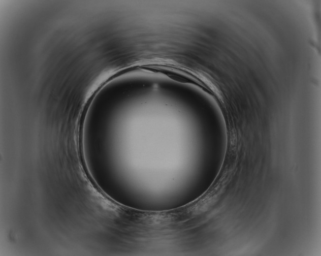 X0000094921054200711291308