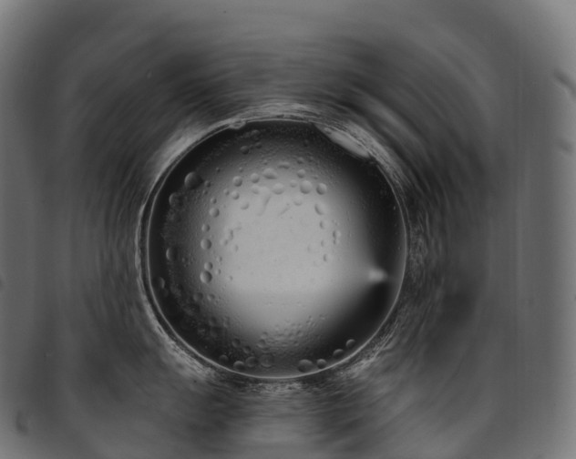 X0000094921055200711291308