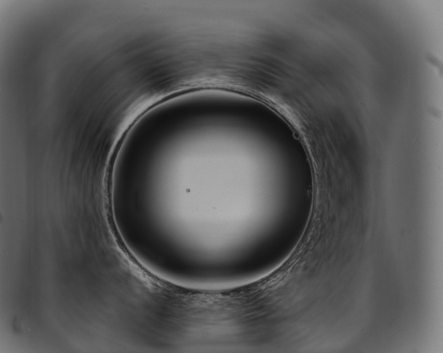 X0000094921056200711291308