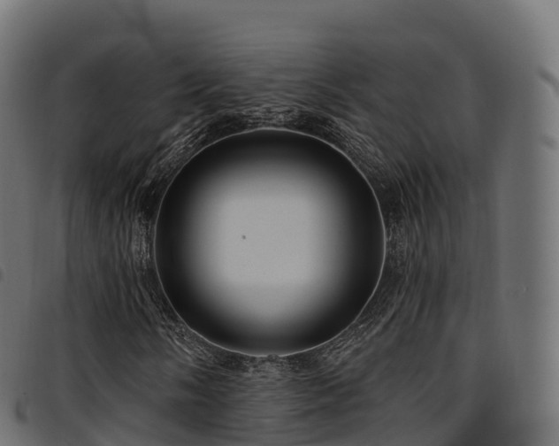 X0000094921058200711291307