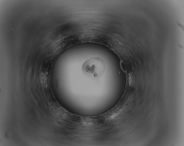 X0000094921059200711291307