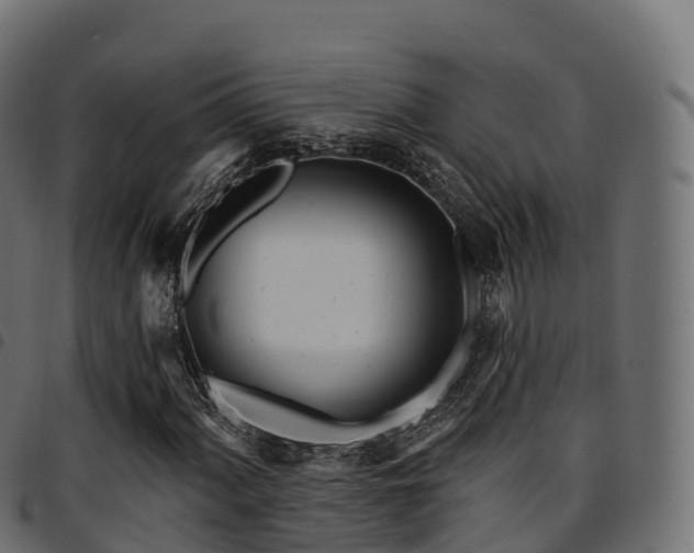 X0000094921060200711291307