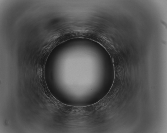 X0000094921061200711291307
