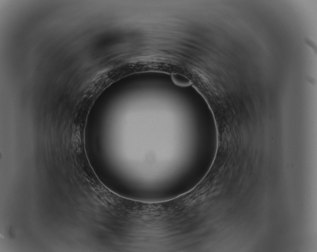 X0000094921062200711291307