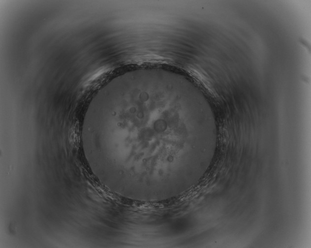 X0000094921063200711291307
