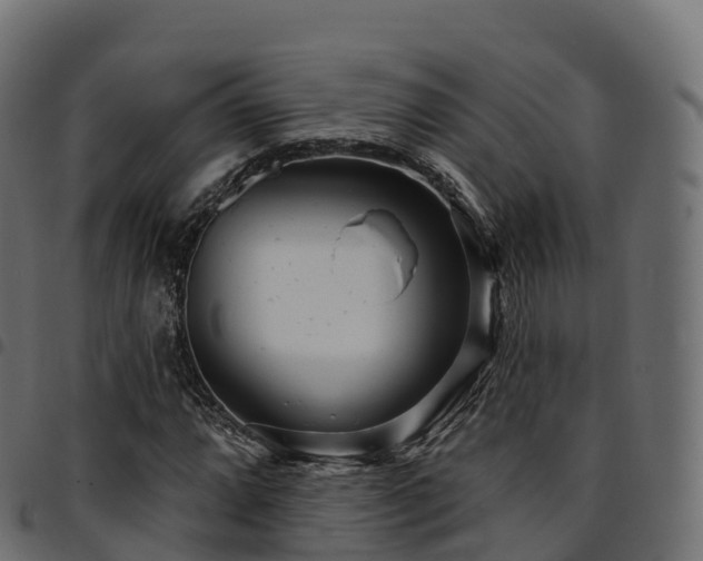 X0000094921064200711291307