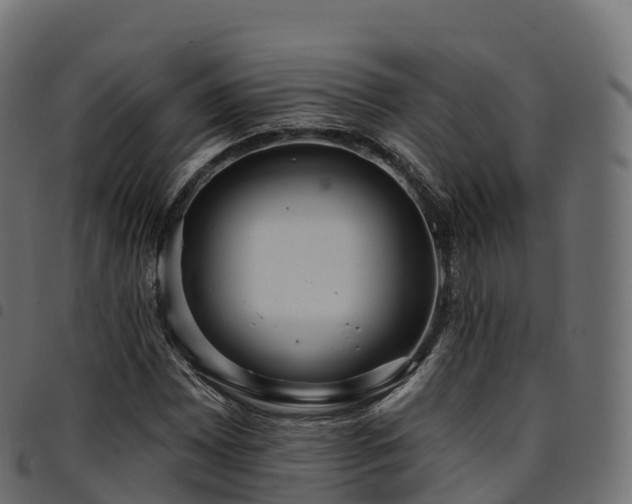 X0000094921065200711291307