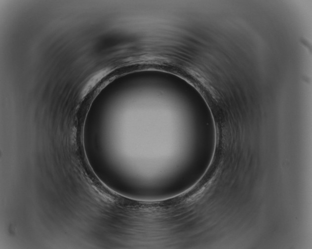 X0000094921066200711291307