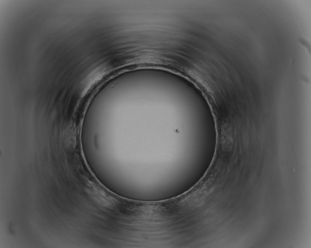 X0000094921067200711291307