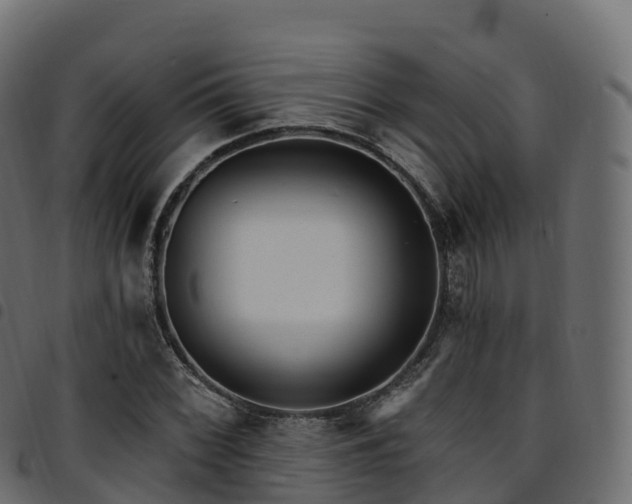 X0000094921068200711291307