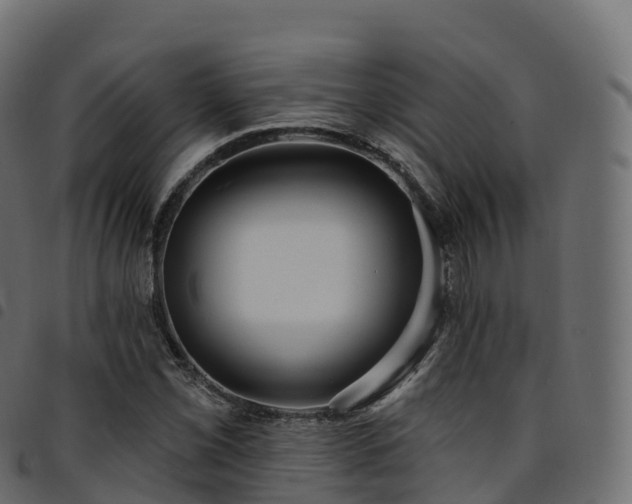 X0000094921069200711291307