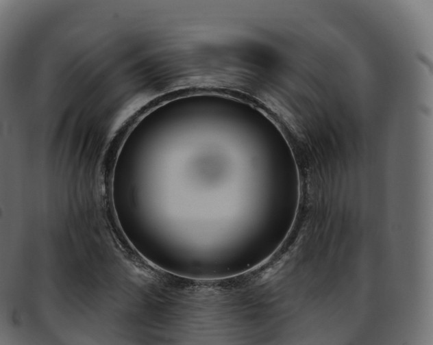 X0000094921070200711291307