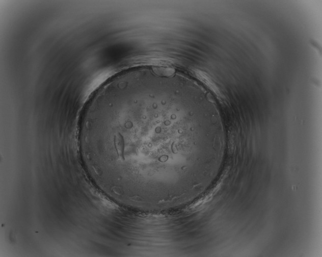 X0000094921071200711291307