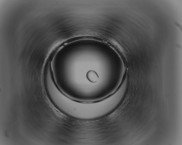 X0000094921072200711291307