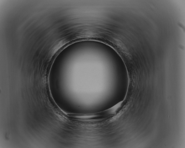 X0000094921073200711291307