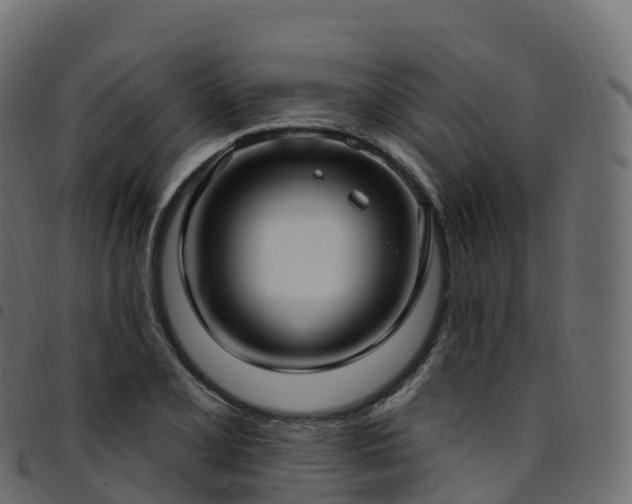 X0000094921077200711291307