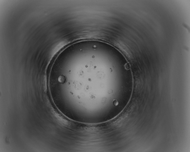 X0000094921079200711291307