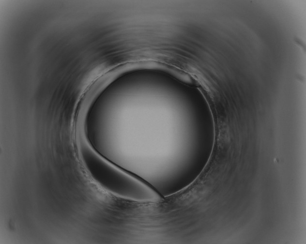 X0000094921080200711291307