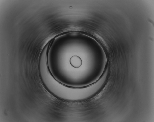 X0000094921081200711291307