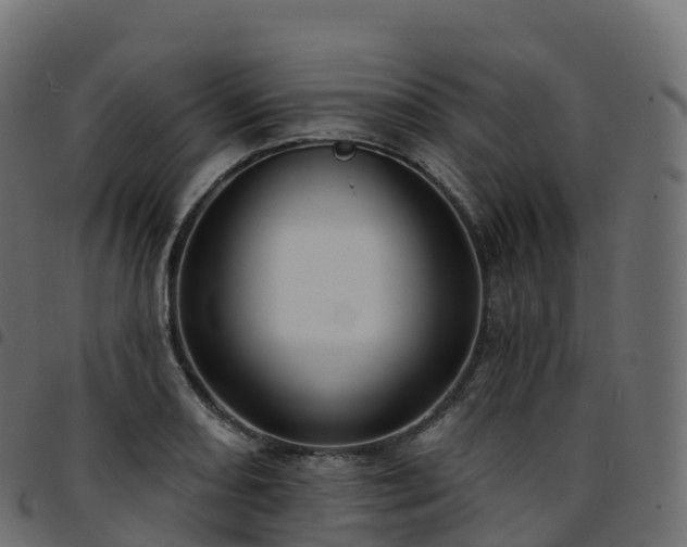 X0000094921082200711291307