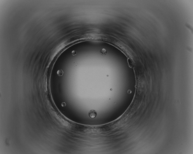 X0000094921083200711291307