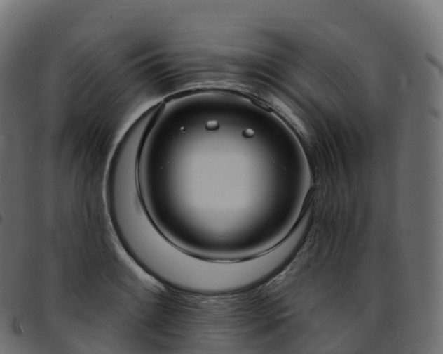 X0000094921084200711291307