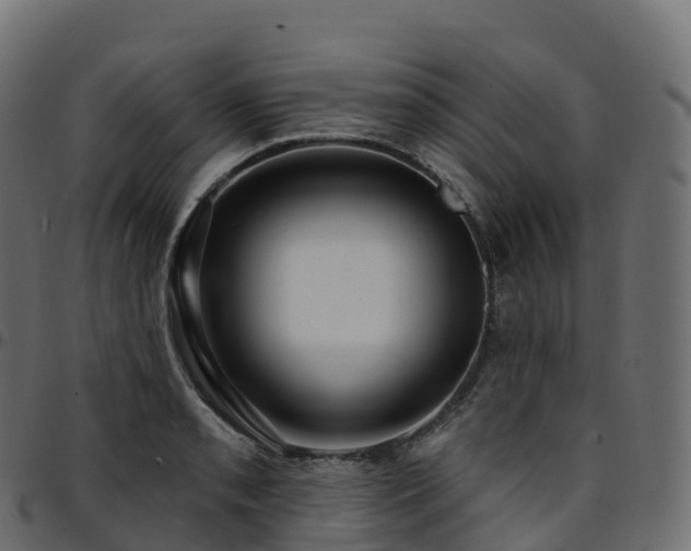X0000094921085200711291307