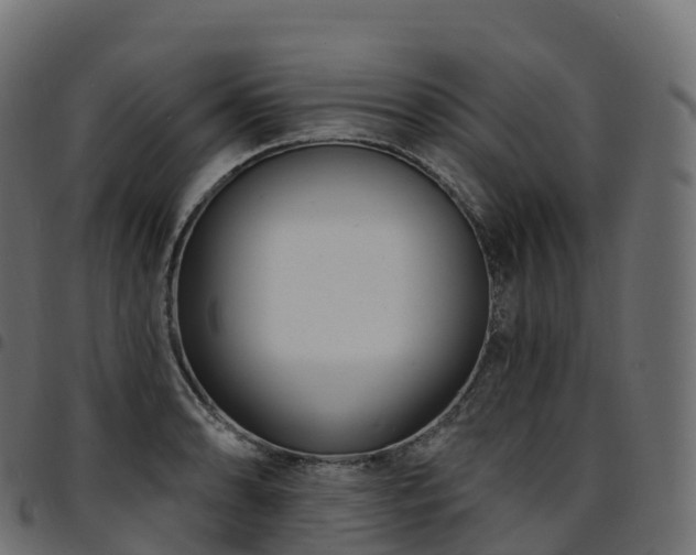 X0000094921086200711291307