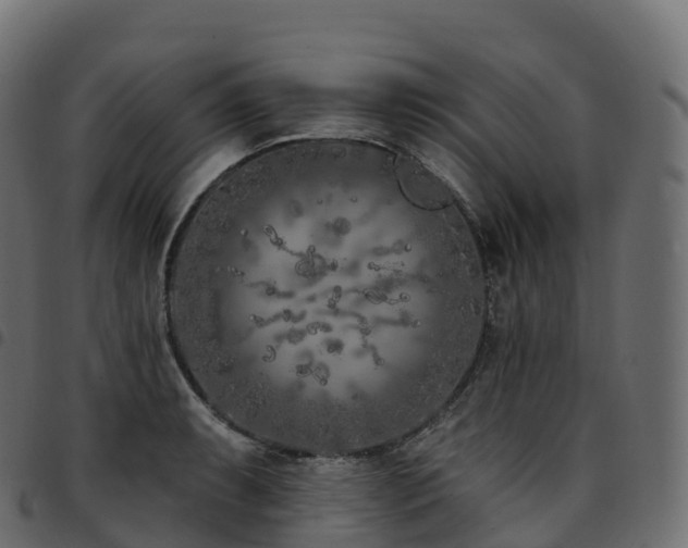 X0000094921087200711291307