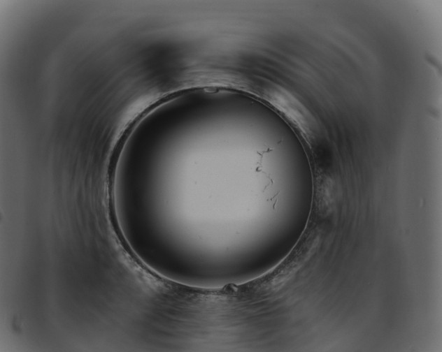 X0000094921088200711291307