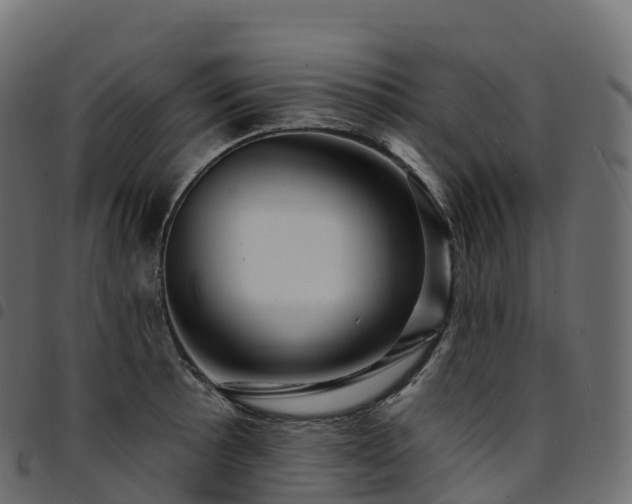 X0000094921089200711291307