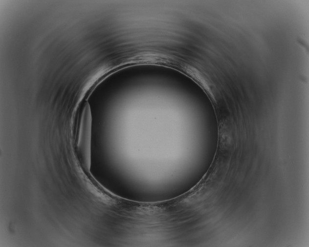 X0000094921091200711291307