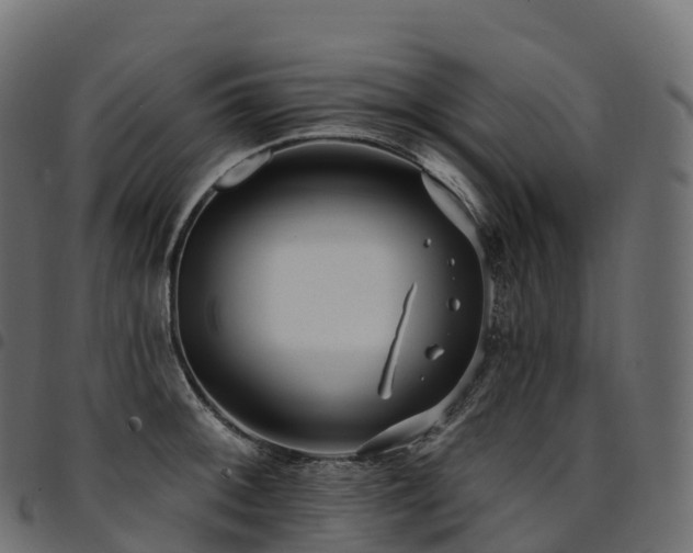 X0000094921092200711291307
