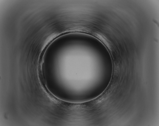 X0000094921093200711291307
