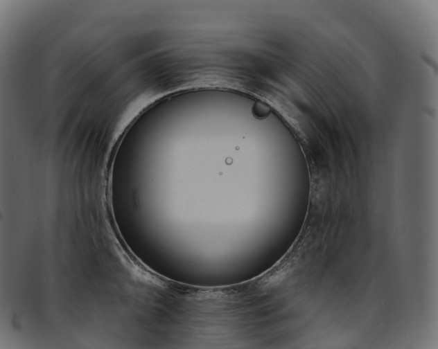 X0000094921094200711291307