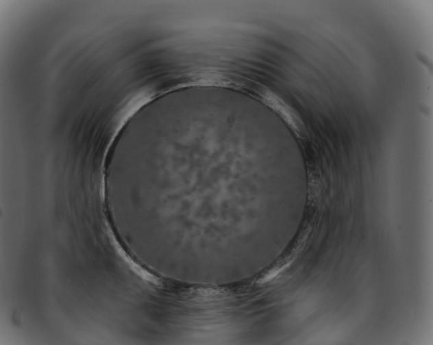 X0000094921095200711291307