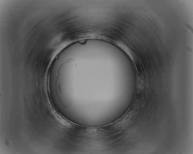 X0000094921098200711291306