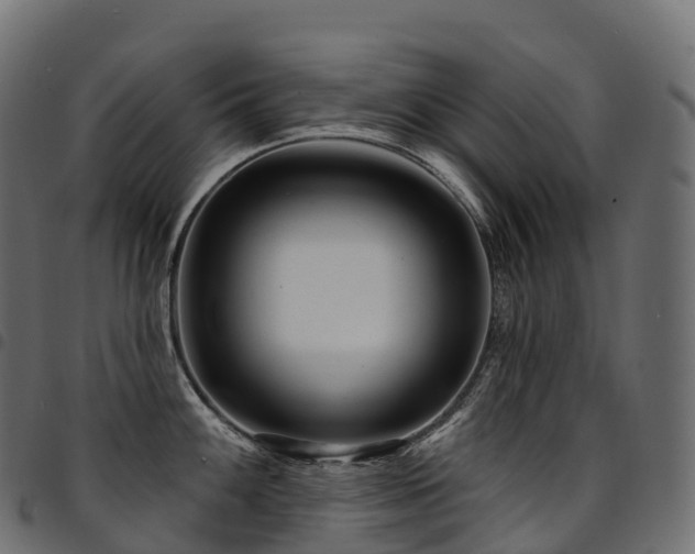 X0000094921100200711291306