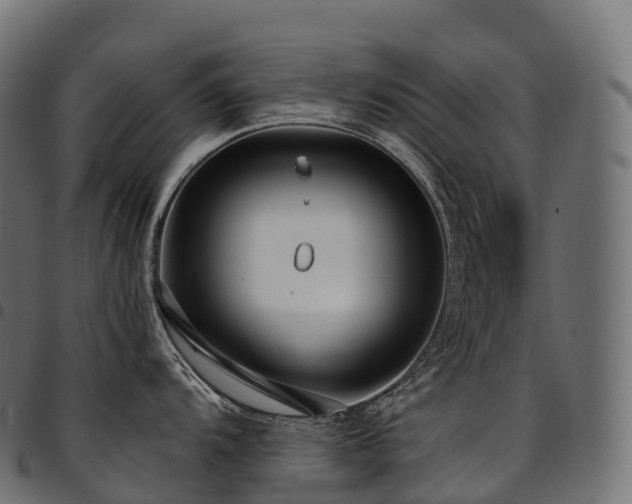 X0000094921104200711291306