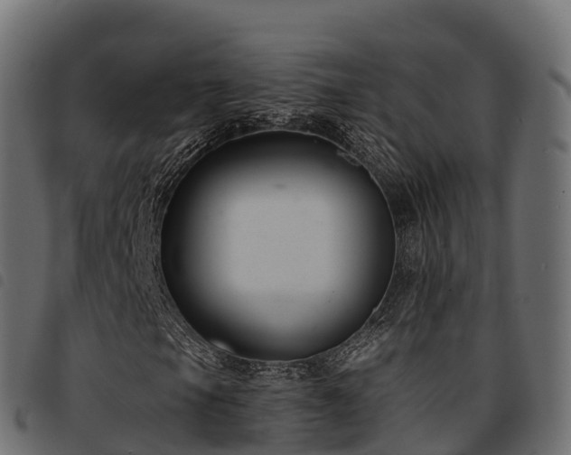 X0000094921105200711291306